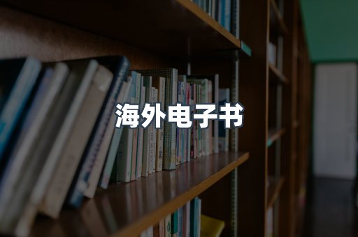 海外电子书